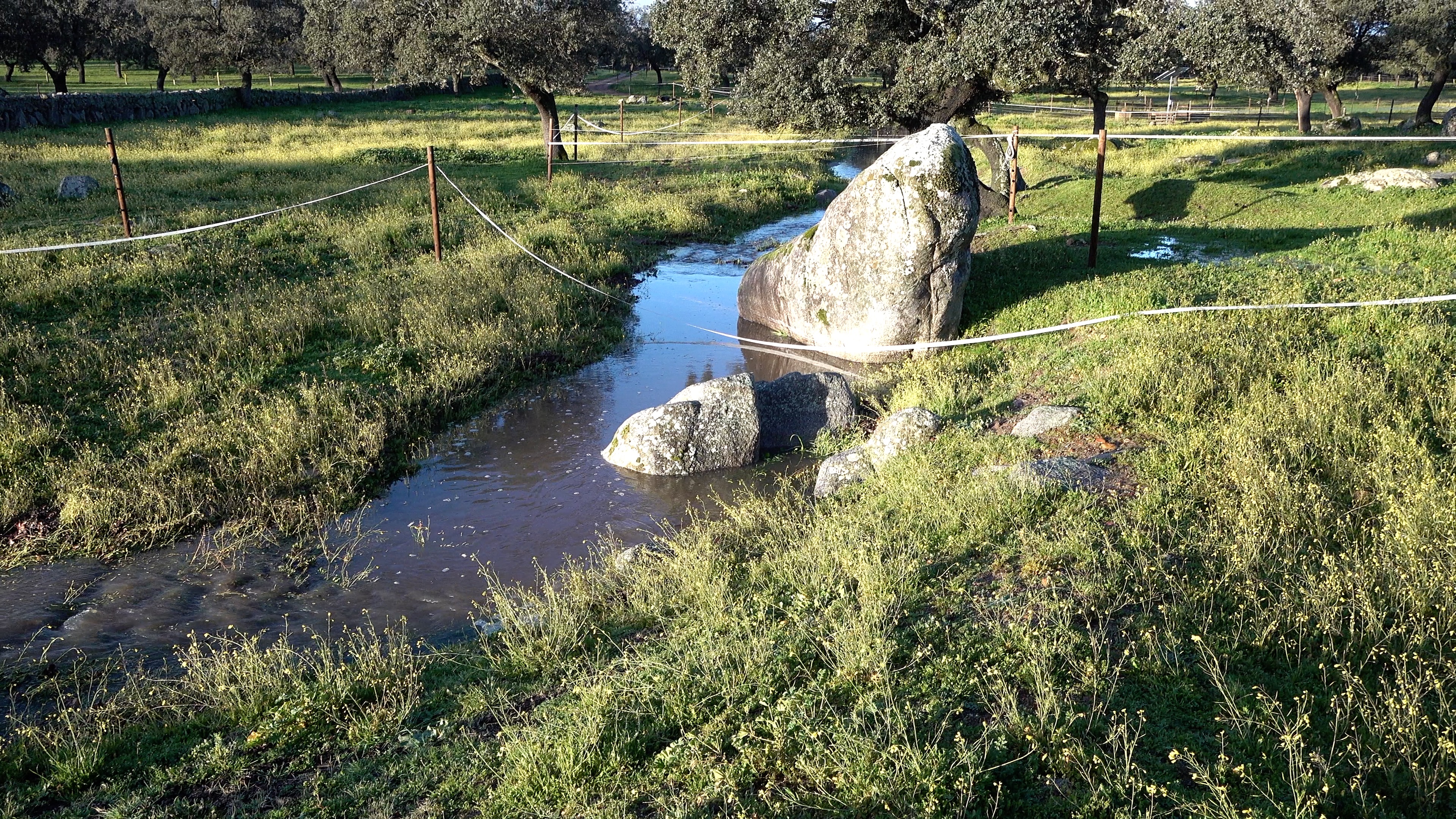 Flowing Seasonal Creek